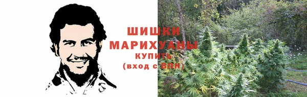 ГАЛЛЮЦИНОГЕННЫЕ ГРИБЫ Беслан