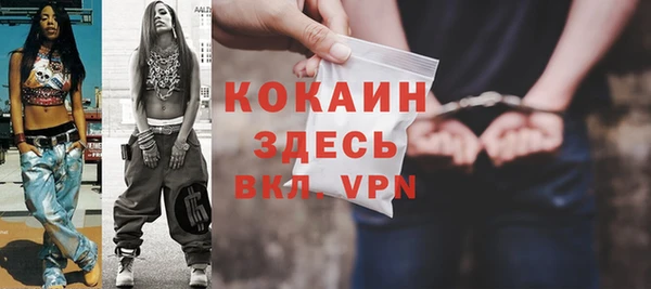 прущие грибы Бикин