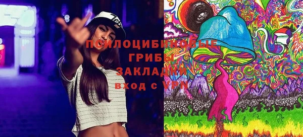 синтетический гашиш Нефтекумск